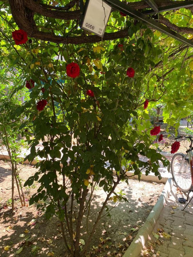 A New House With Garden In Center * Antalya