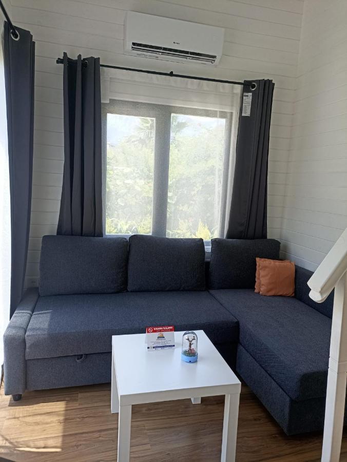 Villa Lemon Tiny House *