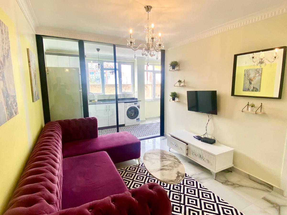 Jazzy Spectacular Homes 100 Mb Wi-fi