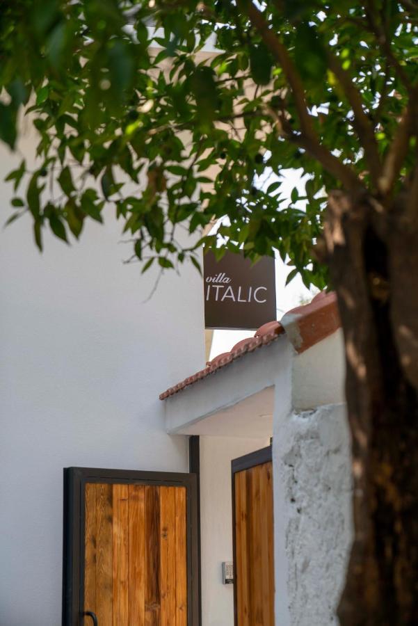Italic Antalya