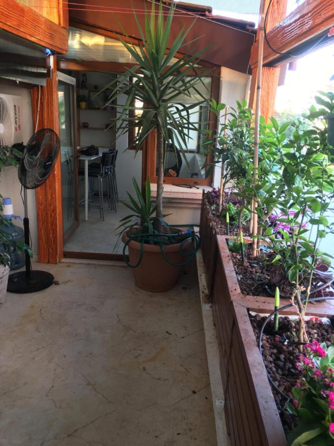 Privatunterkunft Orange Garden Antalya