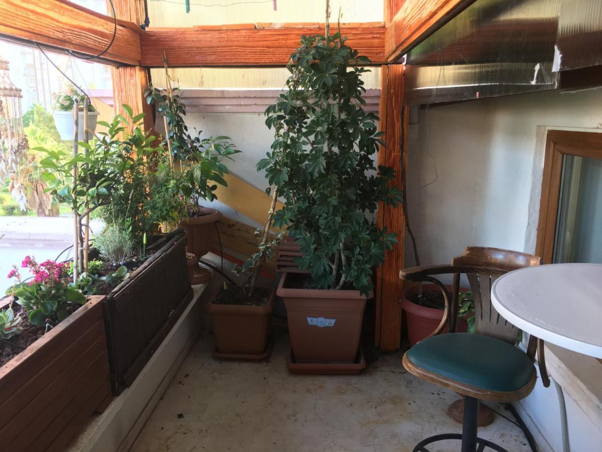 Privatunterkunft Orange Garden