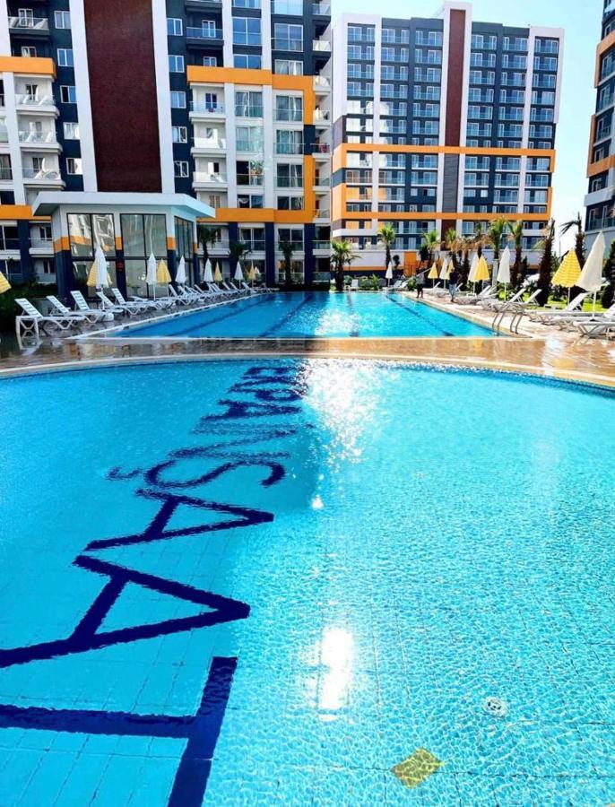 Fully Luxry With Swimming Pool *