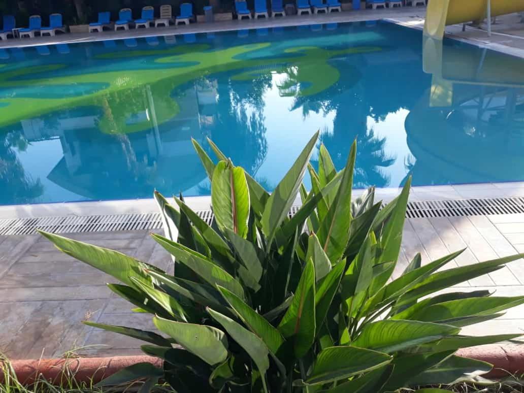 Hotel Club Jovia Kemer Antalya