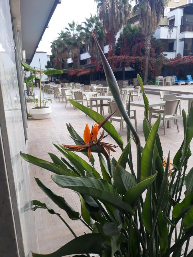 Club Jovia Kemer Hotel