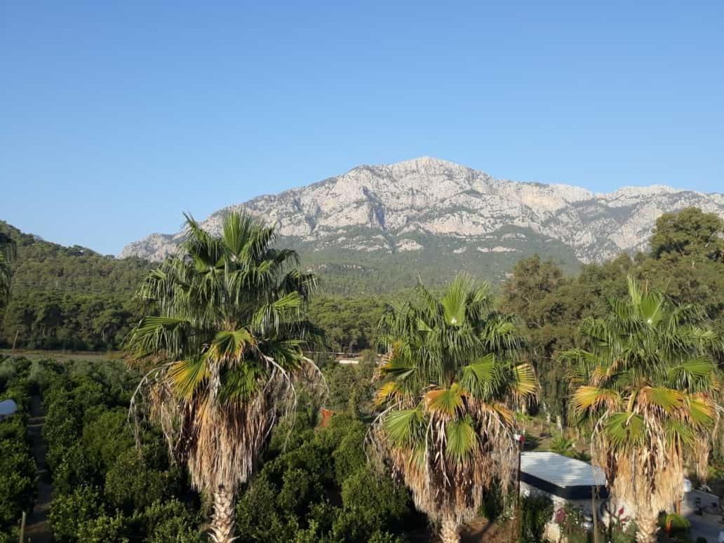 Hotel Club Jovia Kemer Antalya
