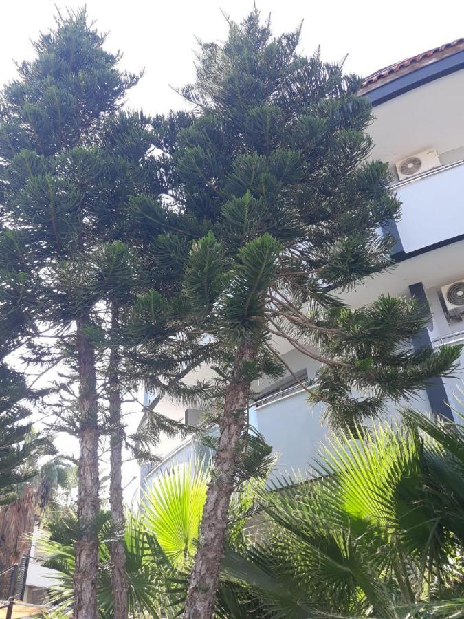 Club Jovia Kemer Antalya