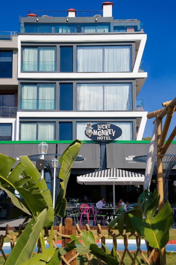 Lucky Monkey 2* Antalya