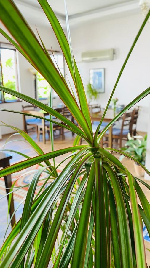 Otel Kaleici 3*