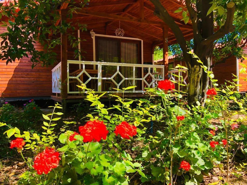 Village Garden Privatunterkunft