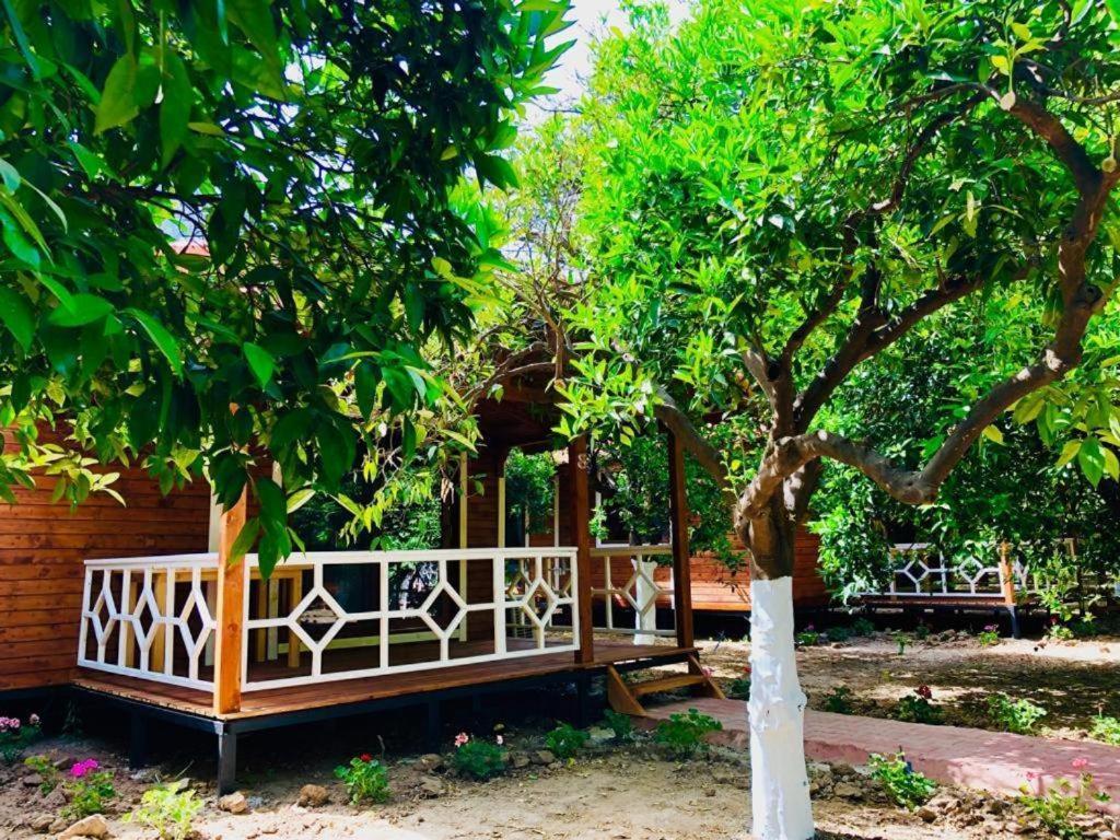 Village Garden