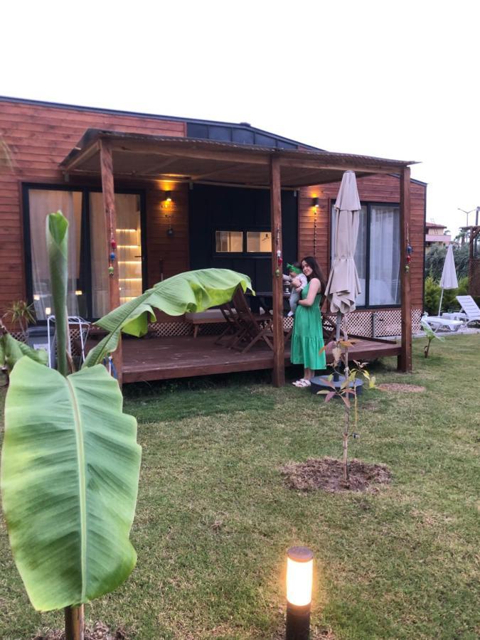 Villa Lemon Tiny House *