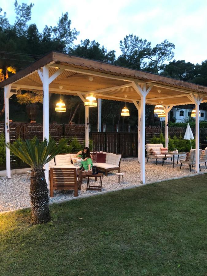 Lemon Tiny House Villa