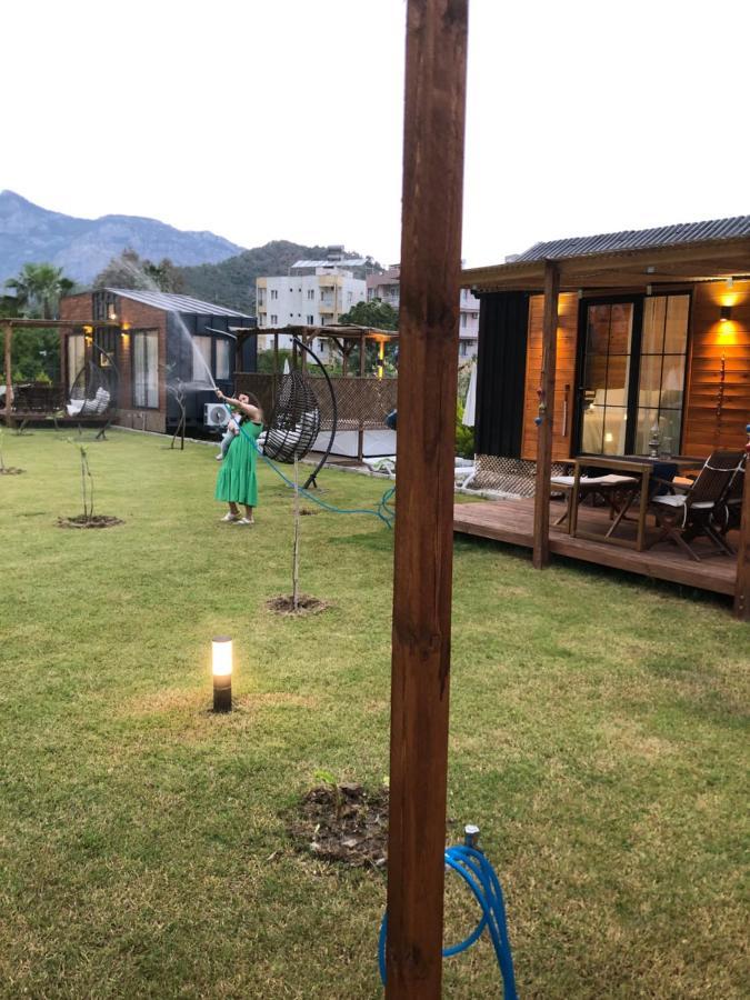 Villa Lemon Tiny House