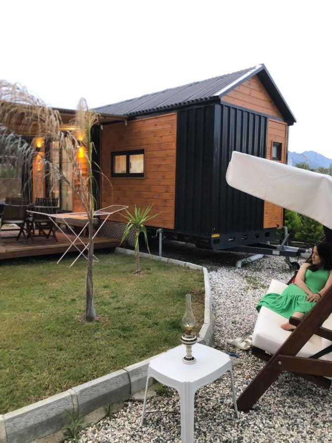Lemon Tiny House Villa *