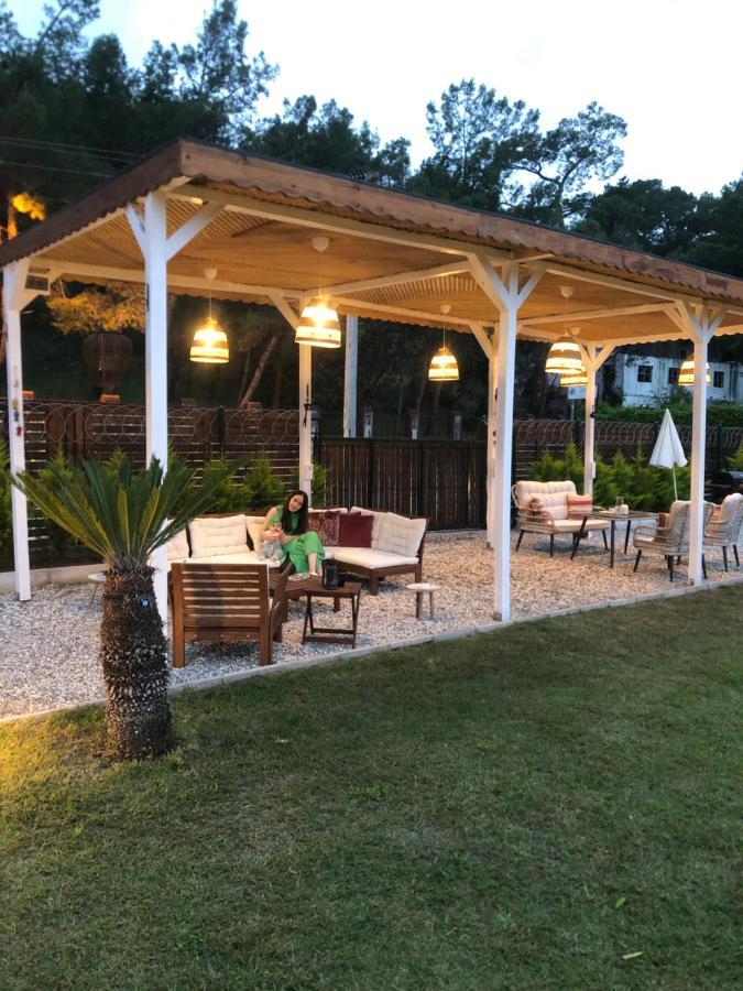 Villa Lemon Tiny House