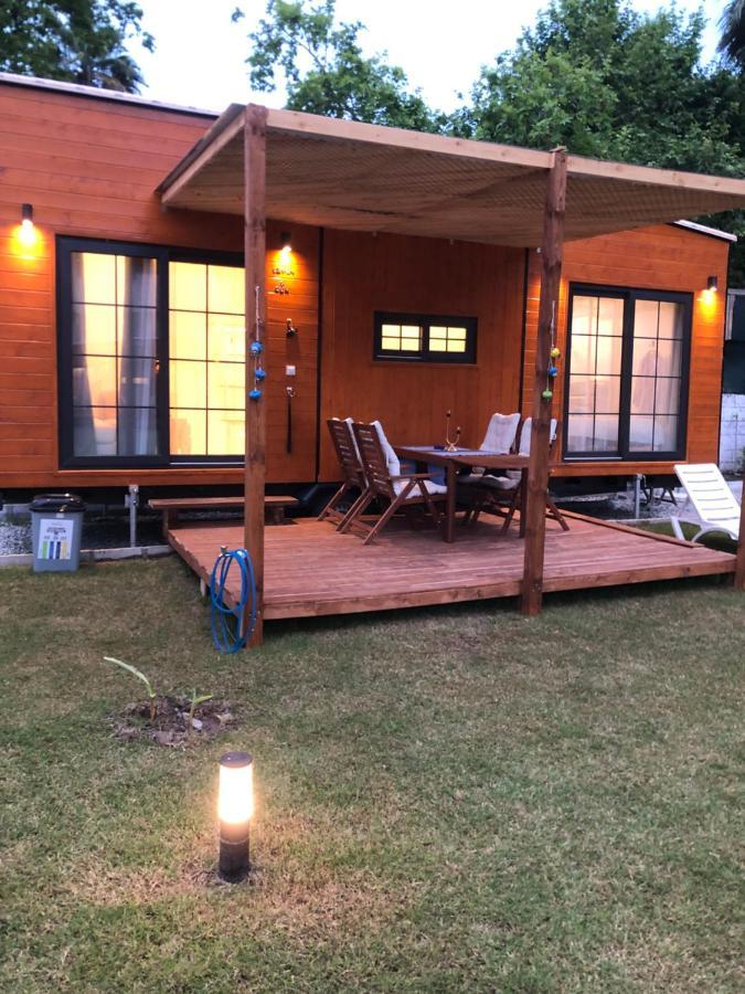 Lemon Tiny House Villa
