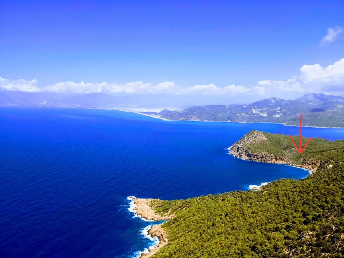 Gelidonia Fenerium Tatil Evi *