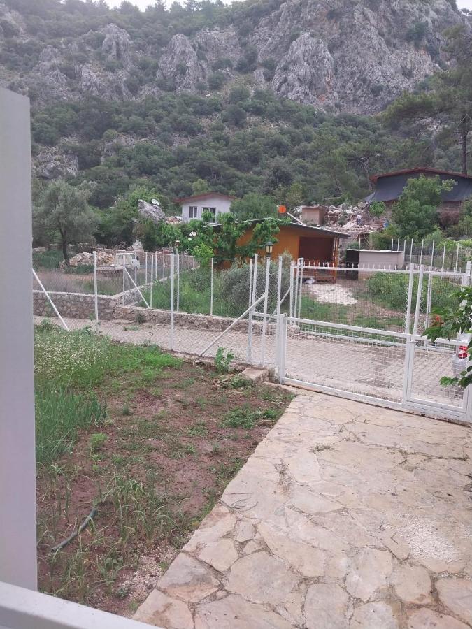 Privatunterkunft Village Garden *