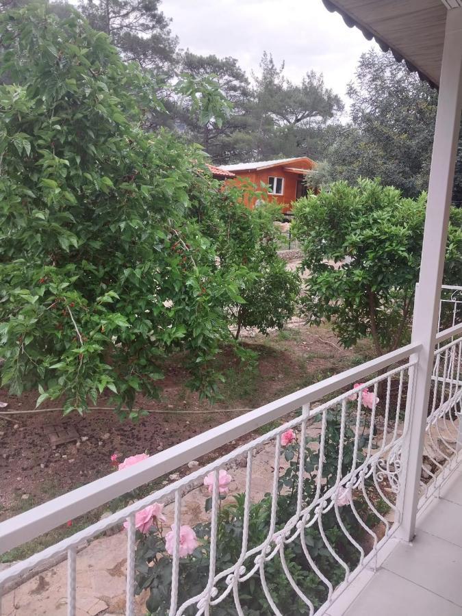 Village Garden Privatunterkunft *