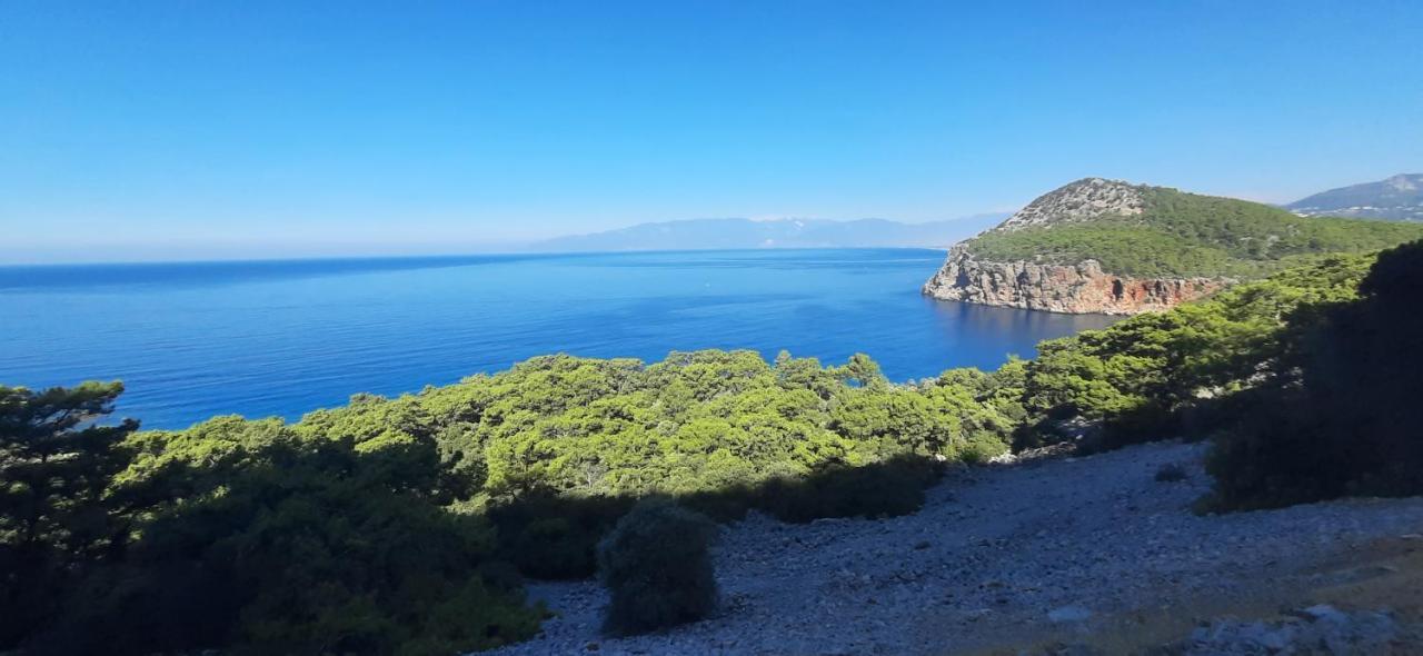 Tatil Evi Gelidonia Fenerium *