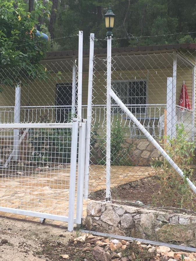 Village Garden *
