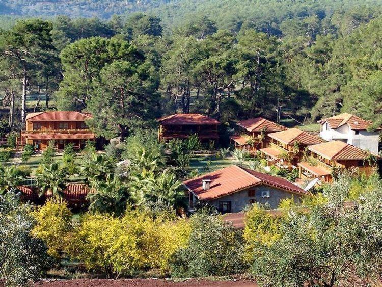 Olympos Paradise 3*