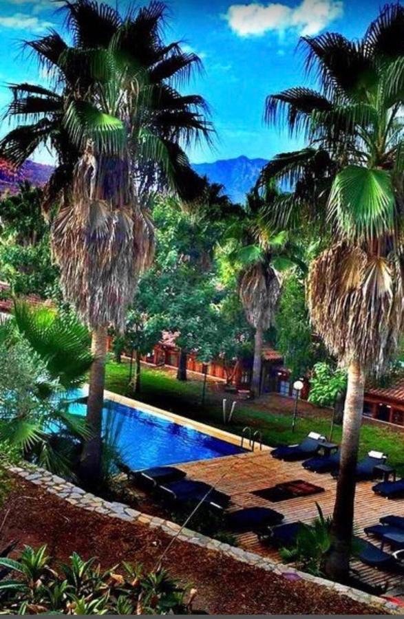 Hotel Olympos Paradise 3*