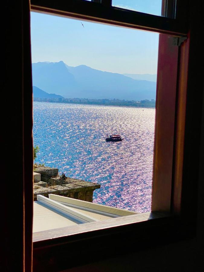 Ulivo * Antalya