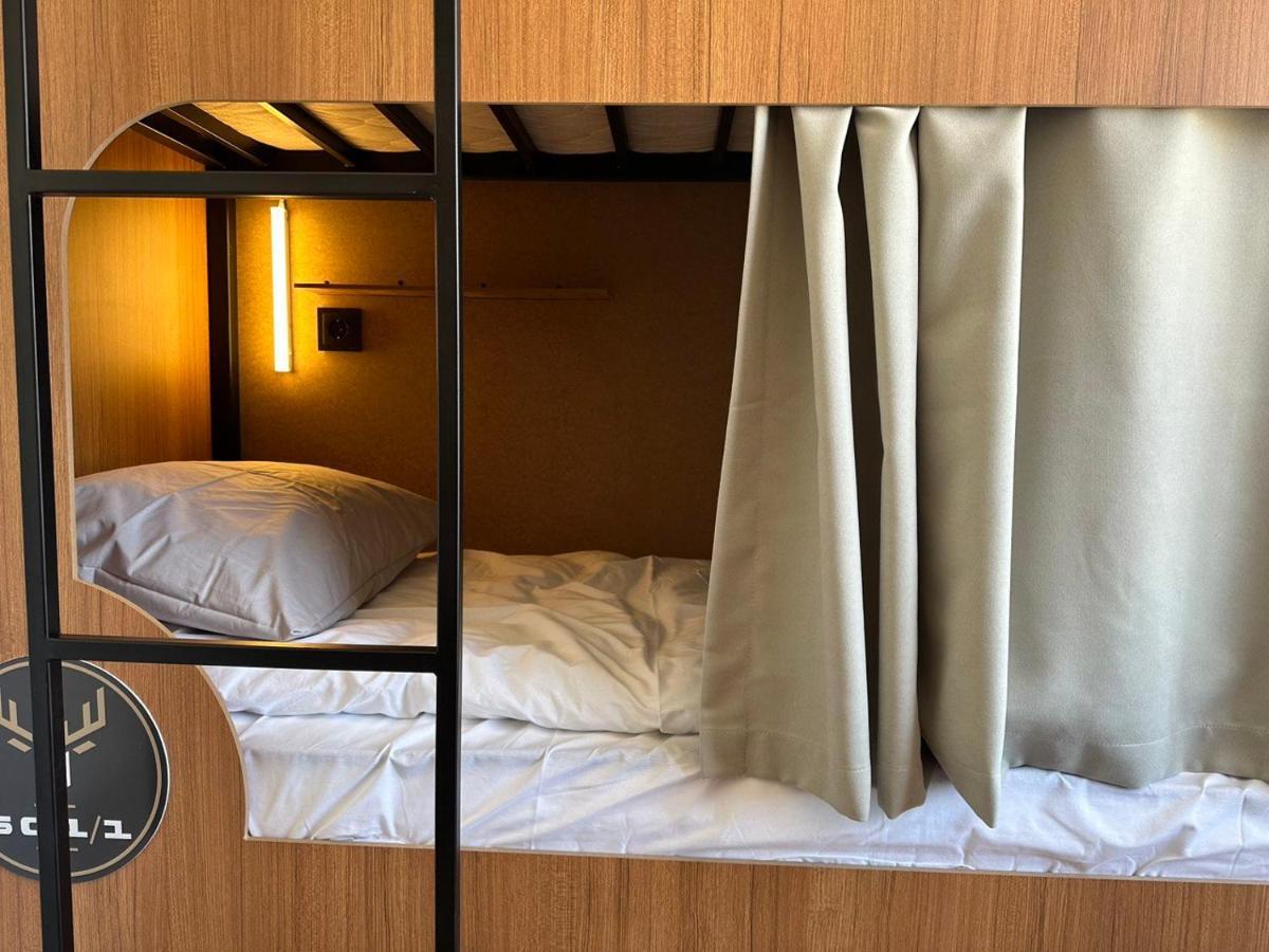 Deer & Otel *