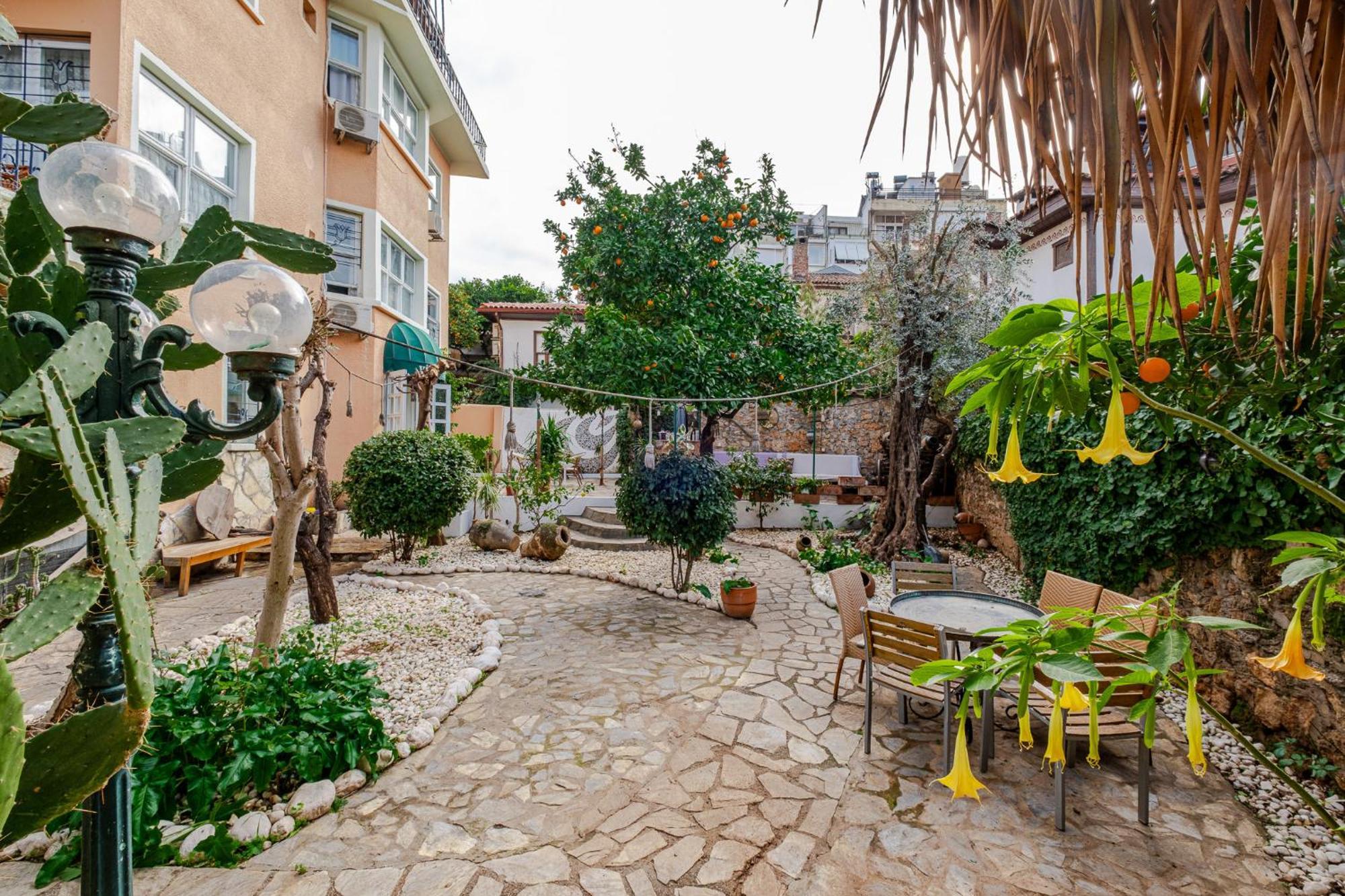 Tulipan Antalya
