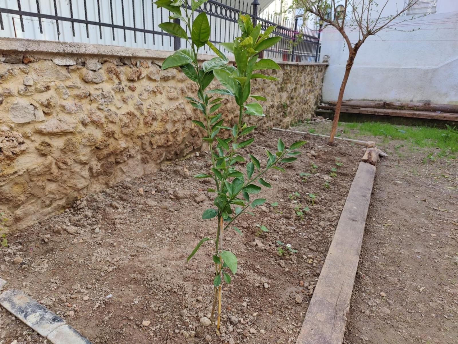 Privatunterkunft Sefin Villasi