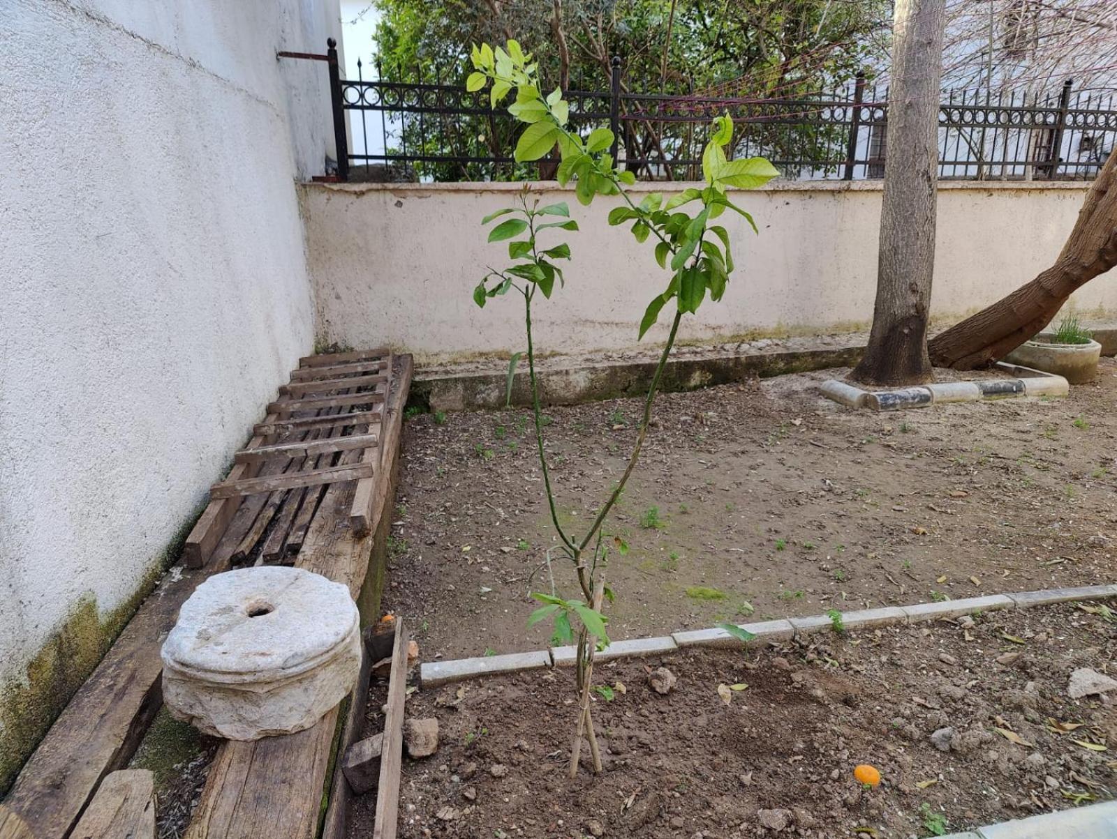Privatunterkunft Sefin Villasi *