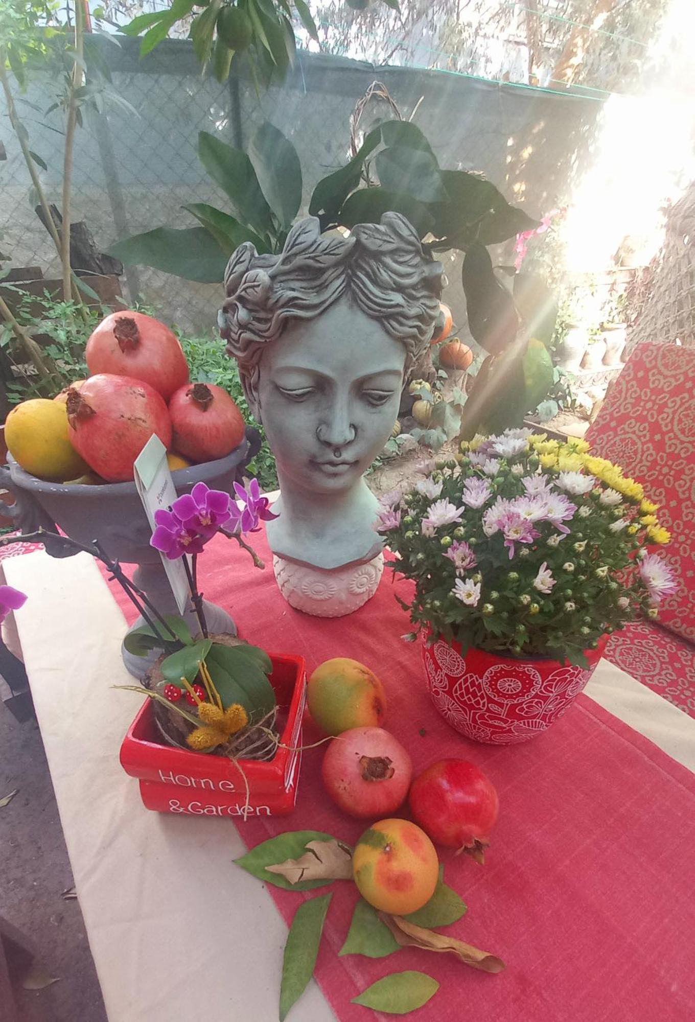 Demeter Rose Stonehouse Pansion Pansiyon