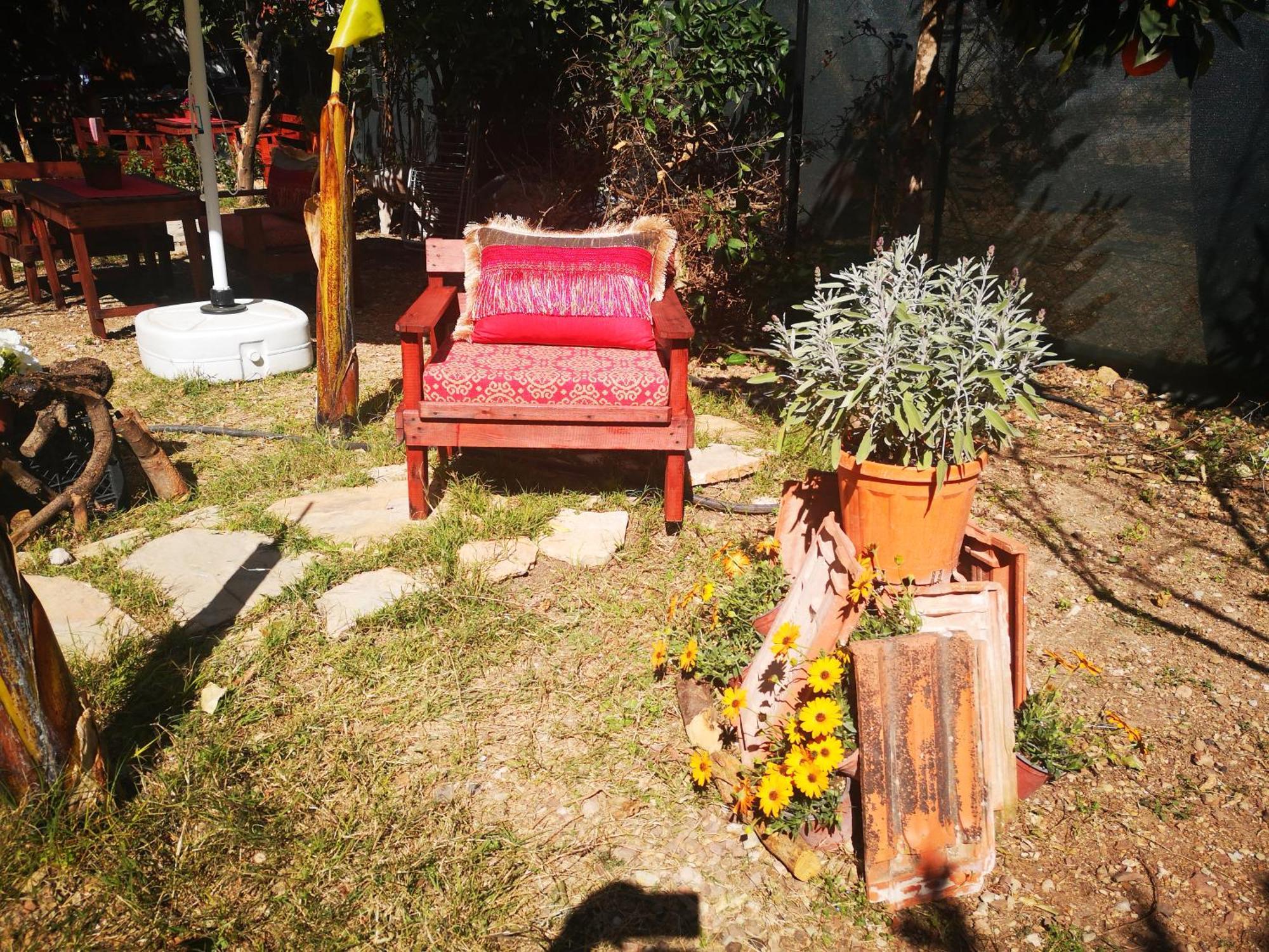Demeter Rose Stonehouse Pansion *