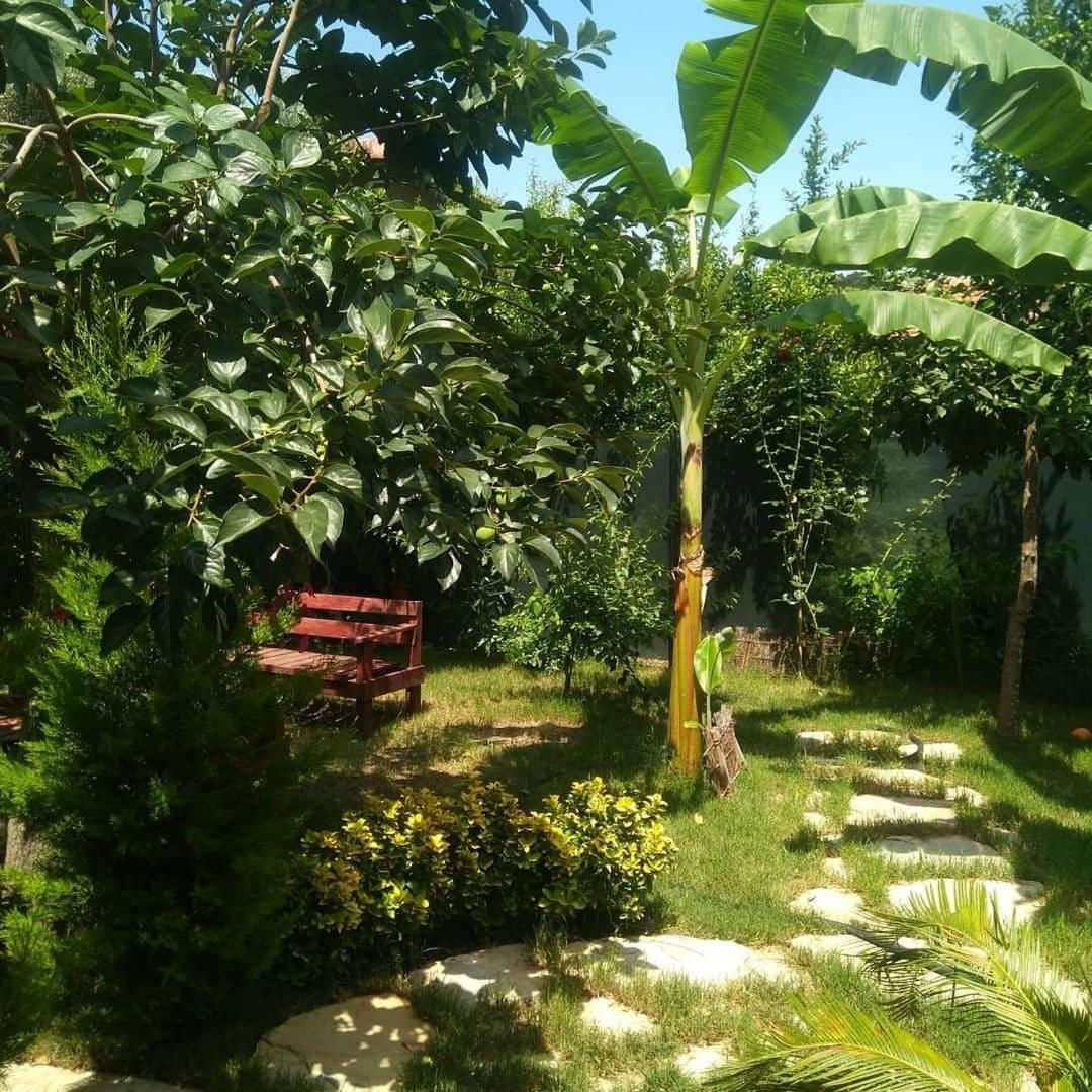 Pansiyon Demeter Rose Stonehouse Pansion Antalya