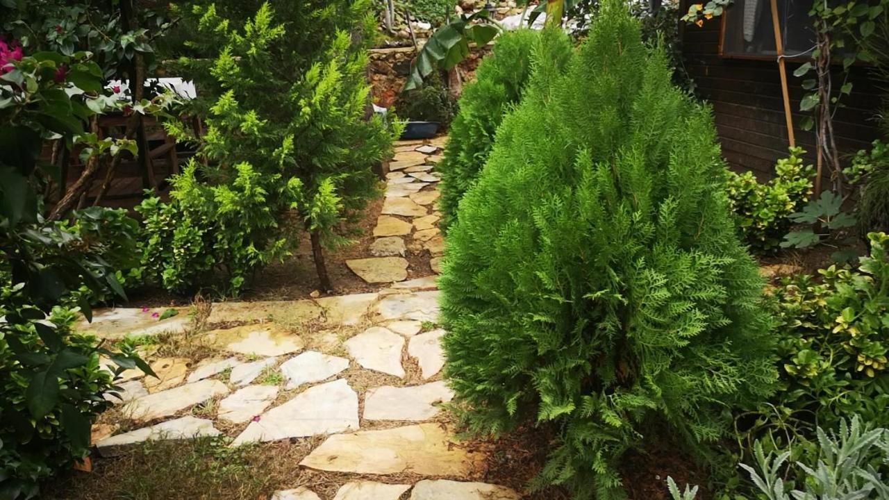 Pansiyon Demeter Rose Stonehouse Pansion