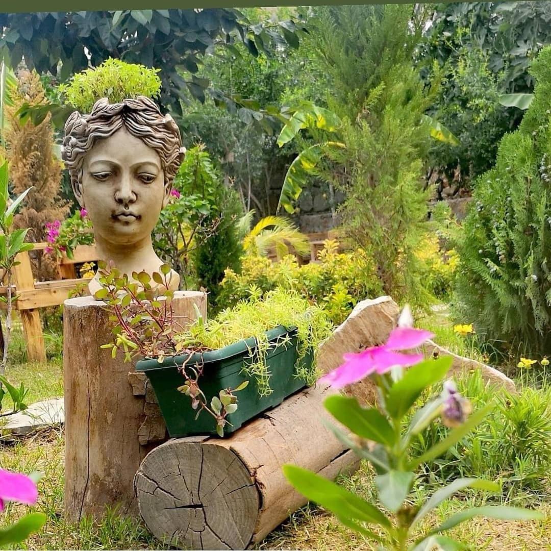 Demeter Rose Stonehouse Pansion *