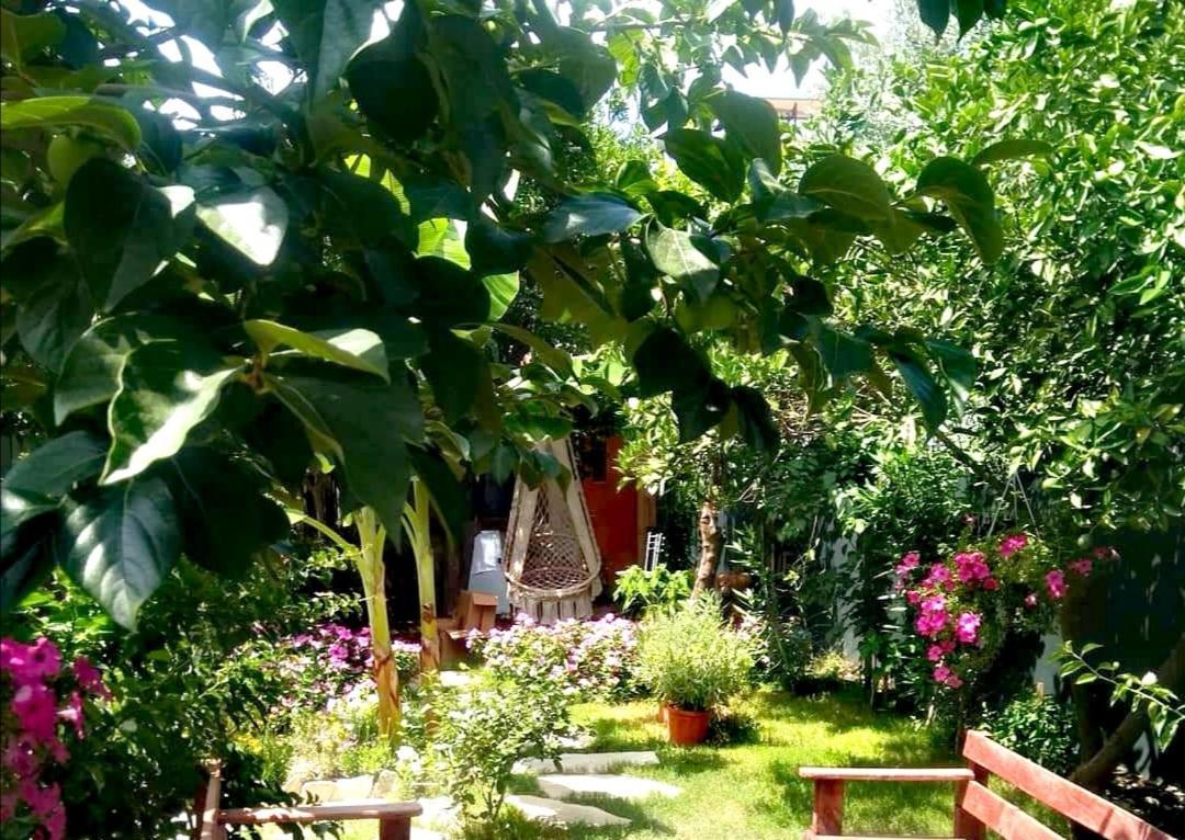 Demeter Rose Stonehouse Pansion Pansiyon *