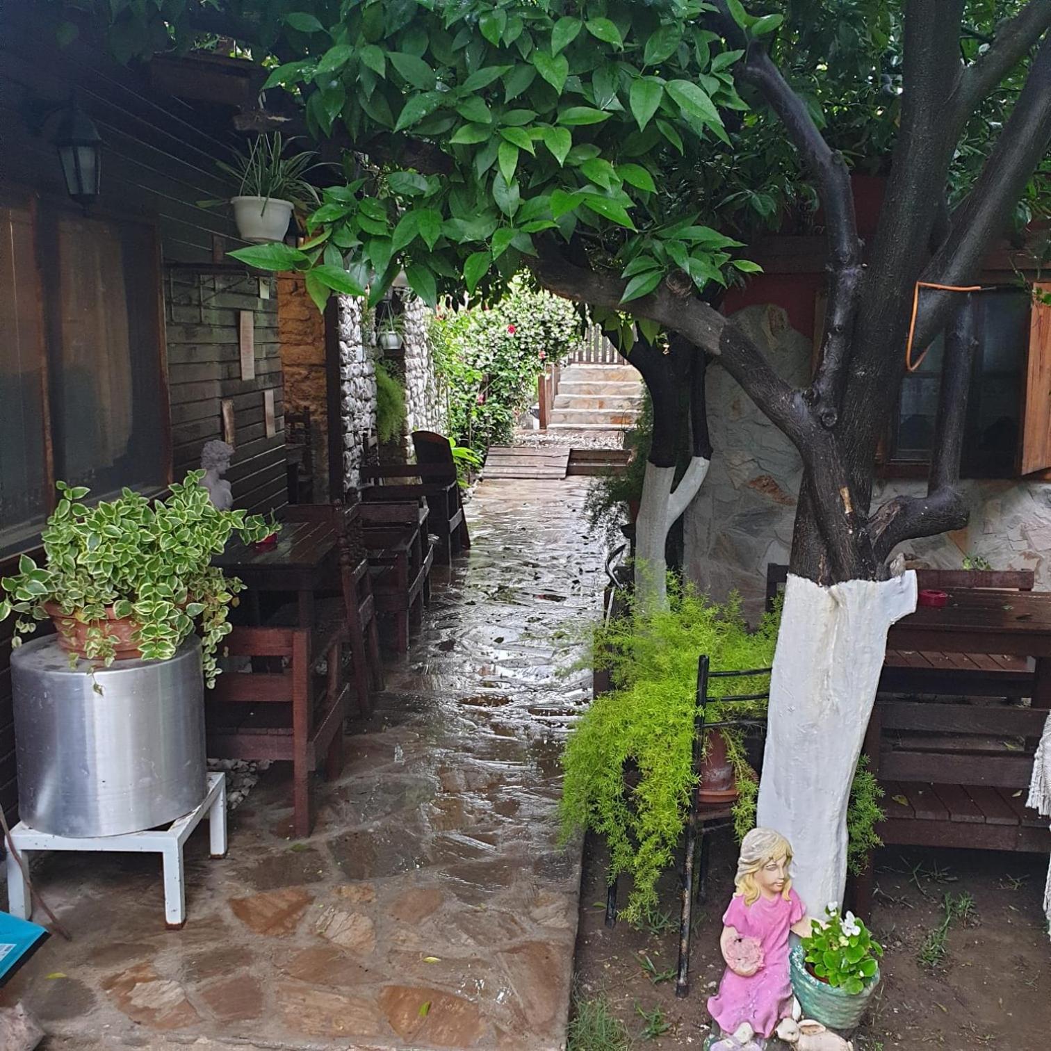 Demeter Rose Stonehouse Pansion Antalya
