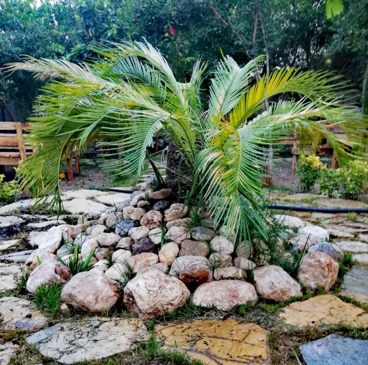 Pansiyon Demeter Rose Stonehouse Pansion *