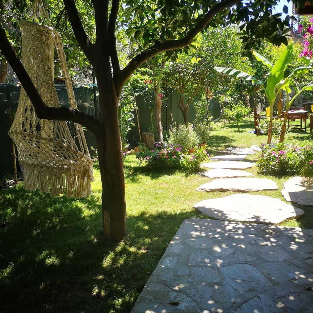Demeter Rose Stonehouse Pansion Pansiyon