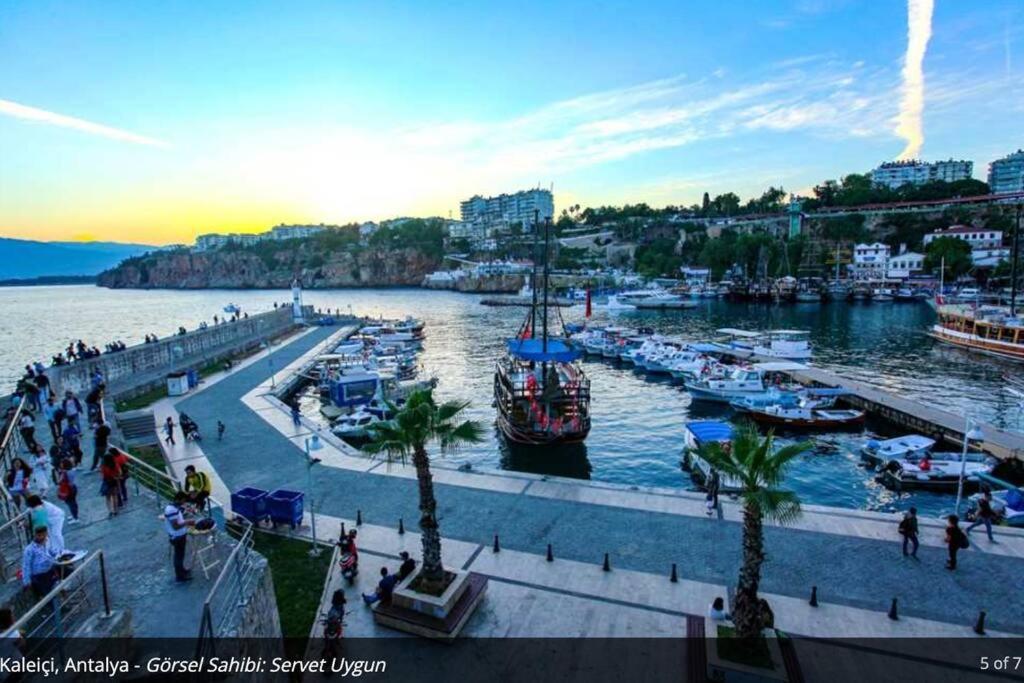 Lara'da Modern Bir Vaha