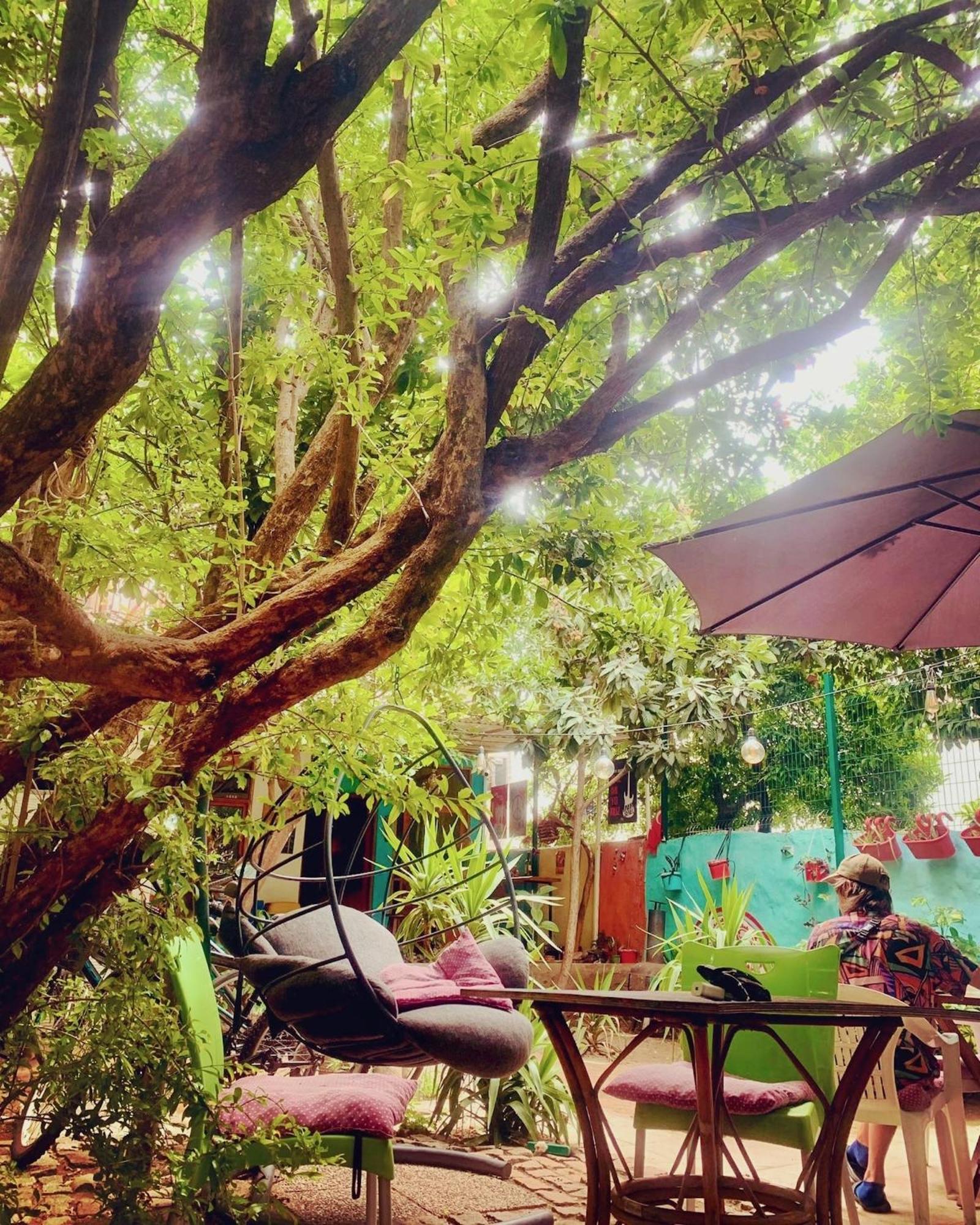 Vague Hostel