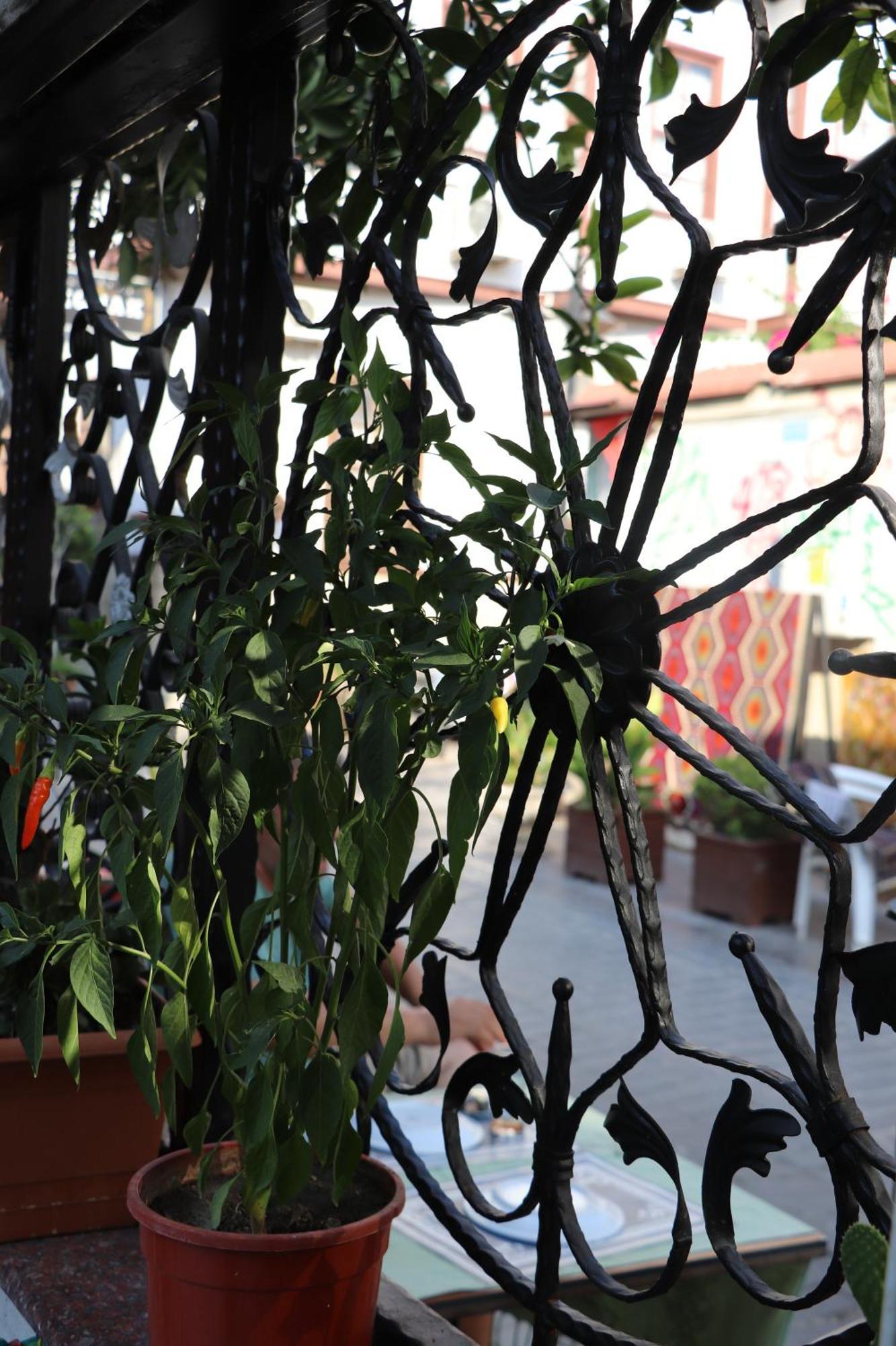 Hotel Tu Casa Linda
