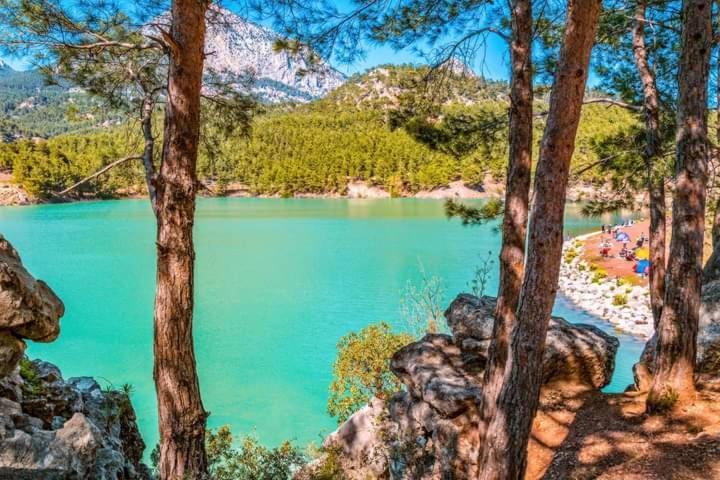 Demeter Rose Stonehouse Pansion Pansiyon Antalya