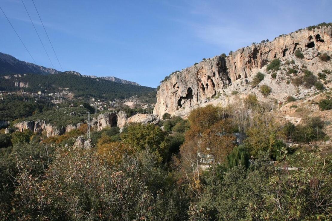 Demeter Rose Stonehouse Pansion Antalya