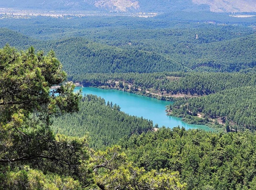 Demeter Rose Stonehouse Pansion Pansiyon Antalya