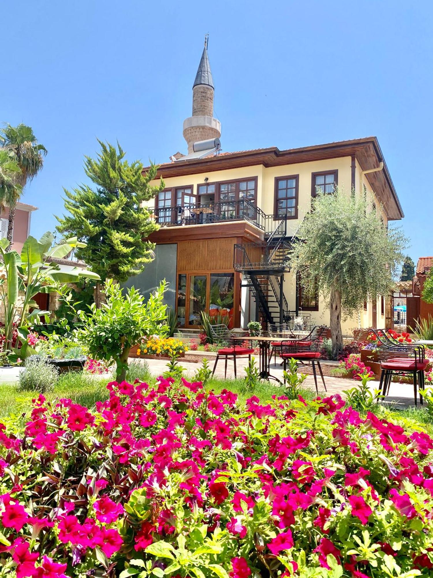 Homestay Necip Bey Konagi