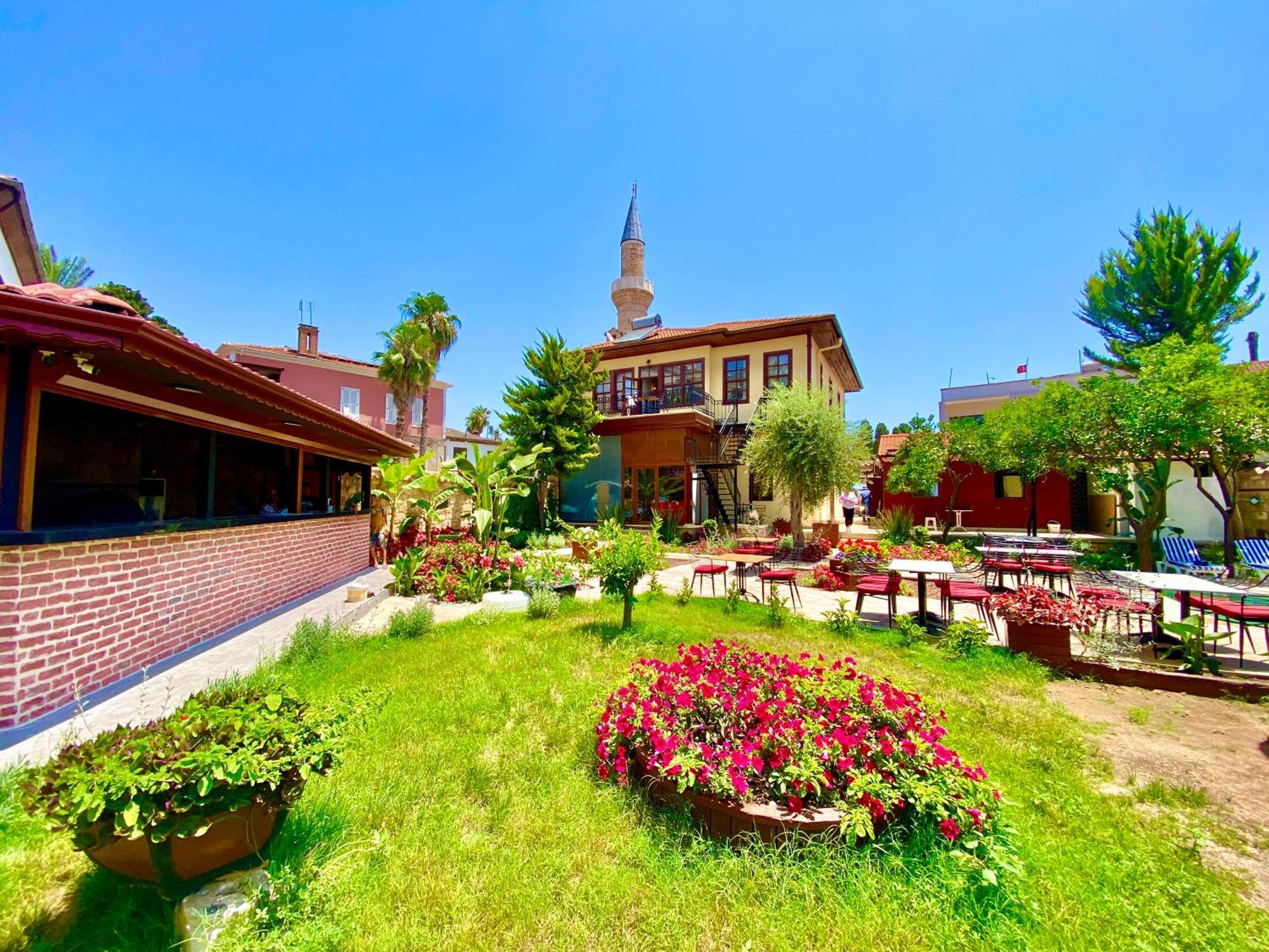 Necip Bey Konagi Homestay